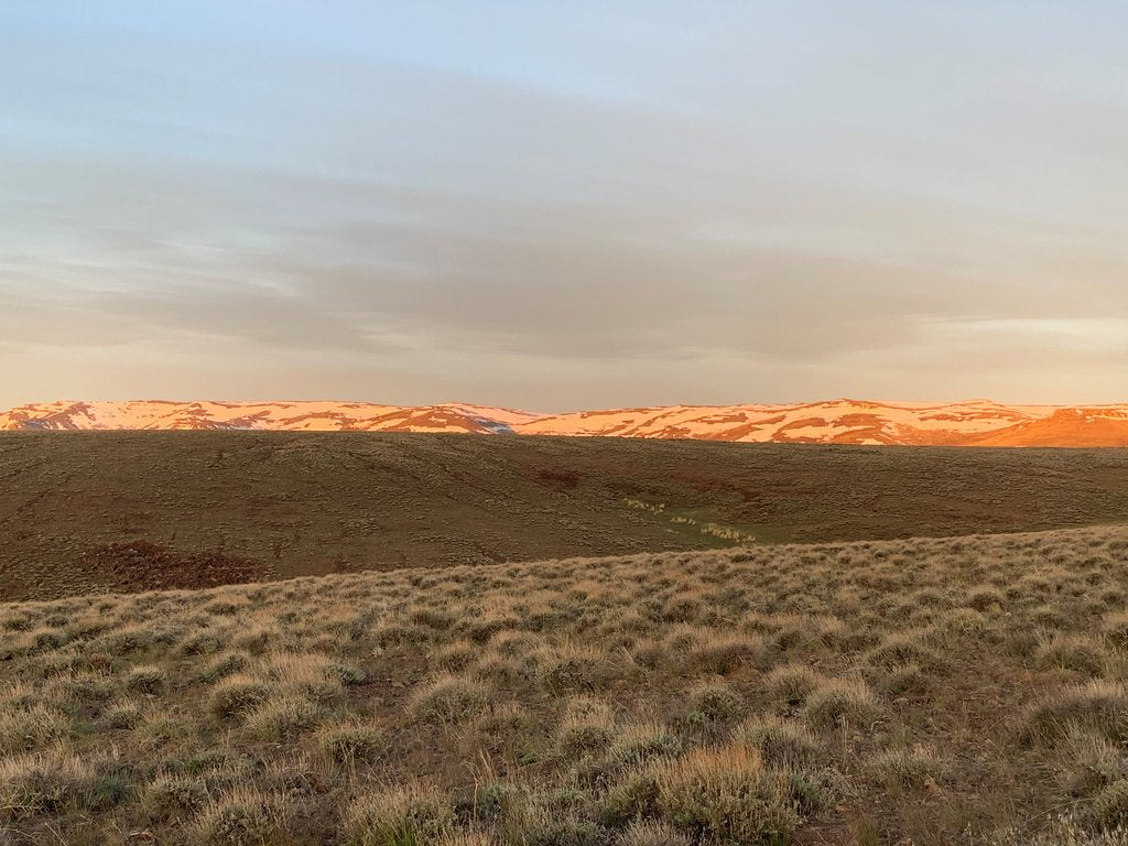Spring Greater Sagegrouse Lek Surveys